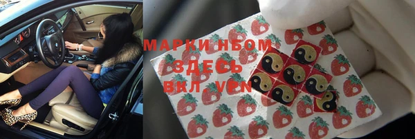 стафф Алексин