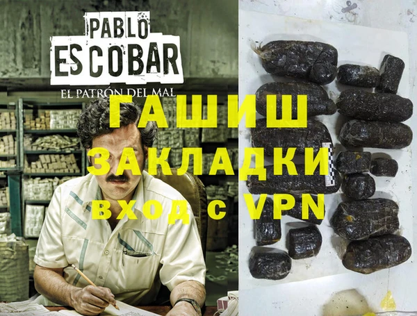 стафф Алексин