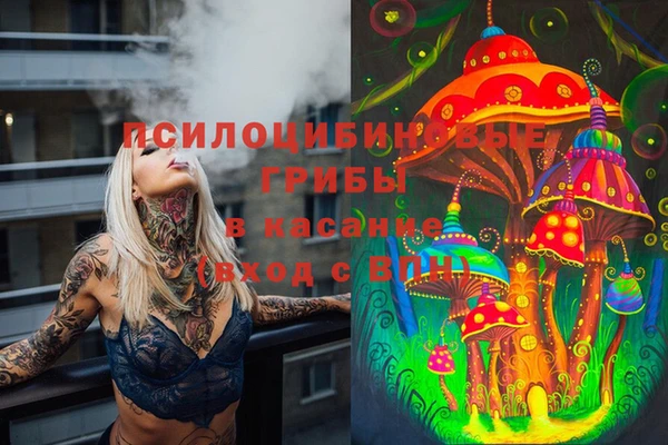 твердый Алзамай
