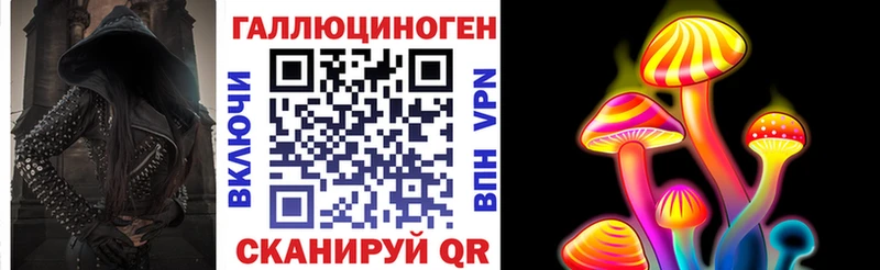 купить закладку  Борзя  Псилоцибиновые грибы Psilocybe 