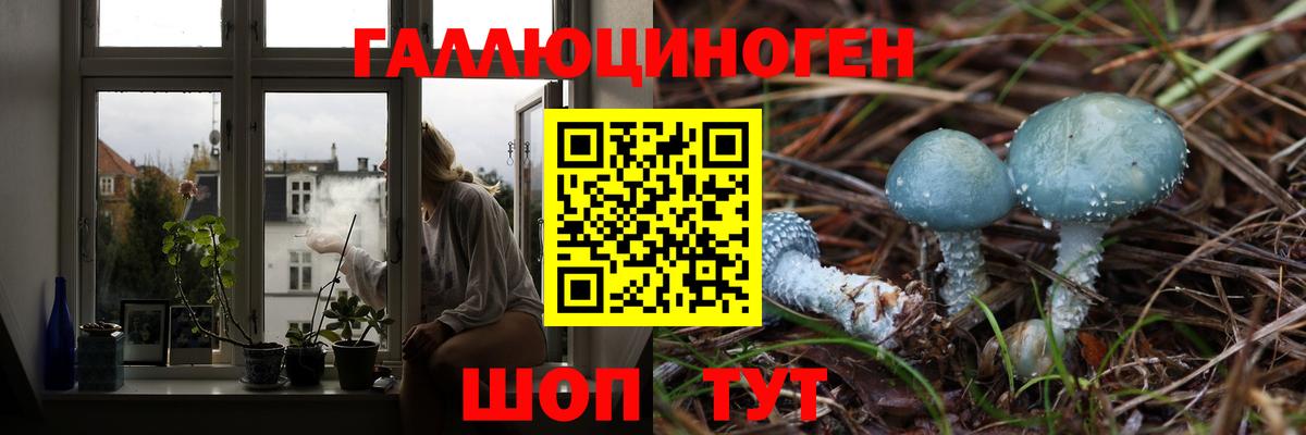 Борзя  Галлюциногенные грибы Cubensis  Галлюциногенные грибы Cubensis  Вход с VPN 